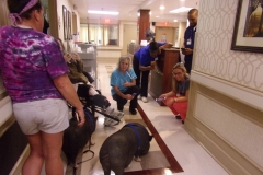 New-Eastwood-Pet-Therapy-10